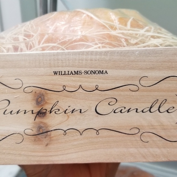 Williams Sonoma Hand Painted Pumpkin Shaped Candle - Picture 7 of 7